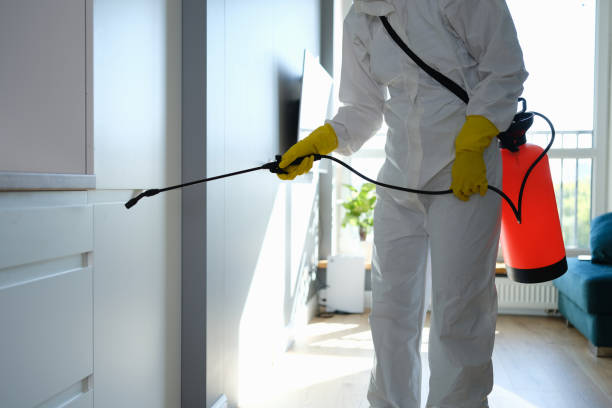 Office Mold Removal Services in Heath, OH
