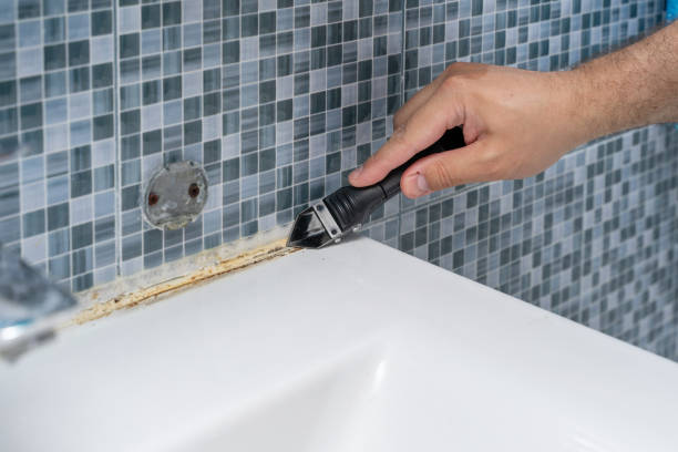 Best Fast Mold Removal  in Heath, OH